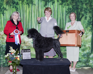 BIS Judge Annella Cooper Oregon 2010